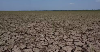 Governo Federal reconhece situação de emergência por seca e estiagem em quatro cidades do RN